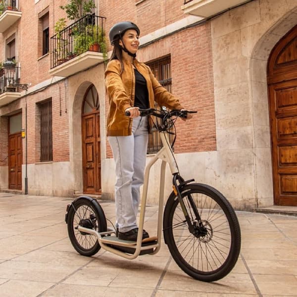 Cecotec Electric scooter with a maximum power of 1000 W to overcome slopes and drive on any surface. Range of up to 50 km. It complies with all requi