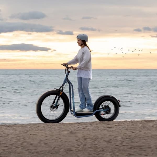 Cecotec Bicinete Fat Homologerad. 1300 W, Autonomi upp till 60 km, Hjul av 20 och 26'', Dubbel bromssystem, Batteri på 48V