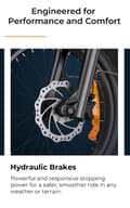 Miniatyrbillede 9 af 10: ENGWE EP-2 BOOST elcykel til voksne, 250W motor, 48V13AH batteri, foldbar, 20-tommer brede dæk, bypendling, korte afstande, terrængående