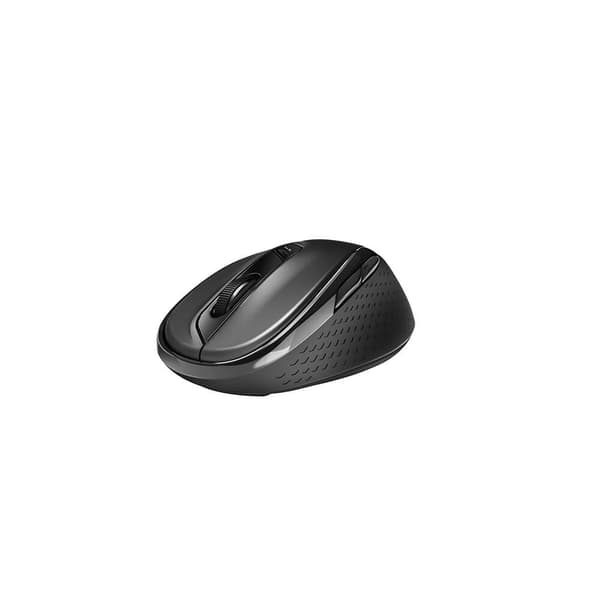 RAPOO Mouse M500  Wireless Multi-Mode Black