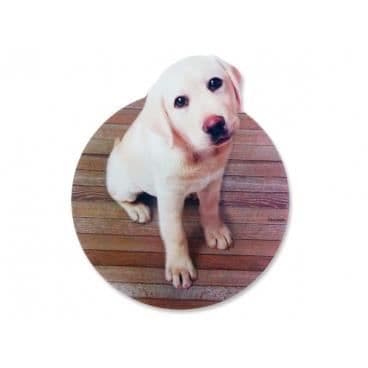 Labrador valp datormatta