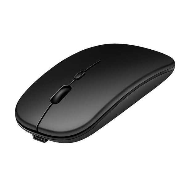 RoGer PM33 Rechargeable Wireless Mouse 1600DPI / 2.4GHz / Silent
