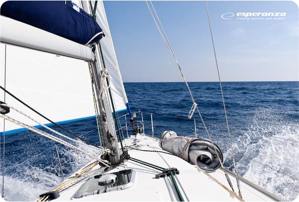 Esperanza EA133 hiirimatto Monivärinen