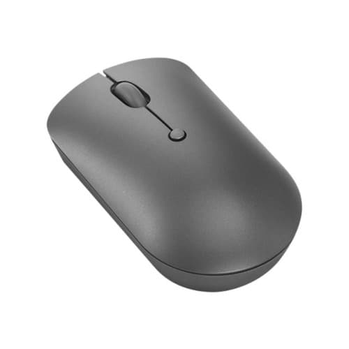 Lenovo 540 Wireless Compact - mus - kompakt - 2.4 GHz - åskmolnsgrå