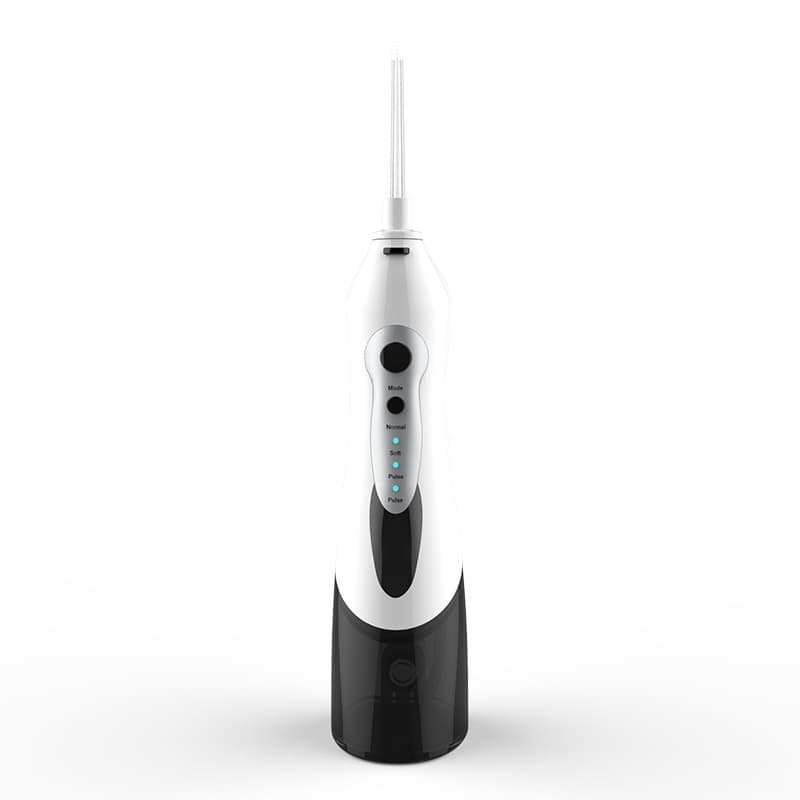 Water Flosser for tannrens Elektrisk Flosser USB Lading 4 stk Svart