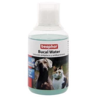 Oralt vatten 250 ml