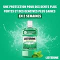 Miniatyrbild 5 av 11: LISTERINE PROTECTION DENTS Munhygienvätska 500 ml