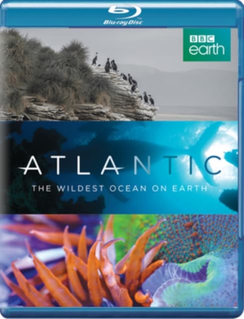 Atlantic - The Wildest Ocean On Earth (Blu-ray) (Import)