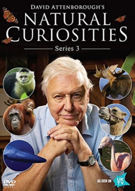 David Attenborough's Natural Curiosities: Series 3 (Import)