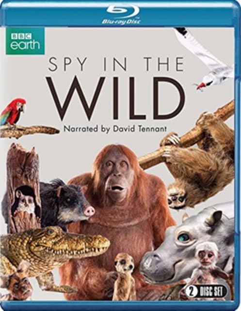 Spy in the Wild (Blu-ray) (Import)