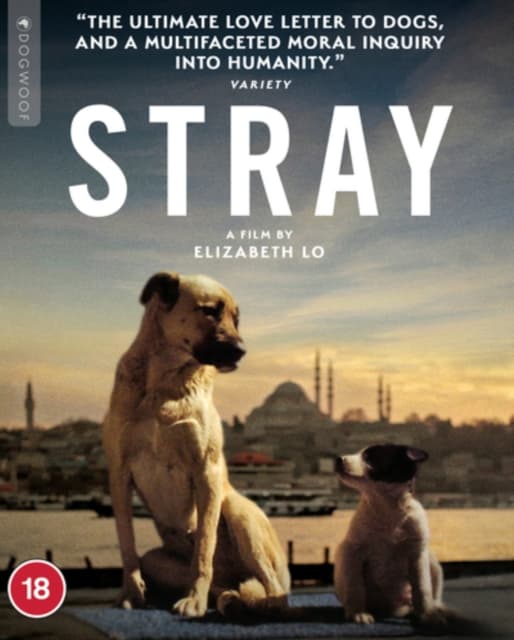 Stray (Blu-ray) (Import)