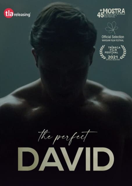 Perfect David (Import)