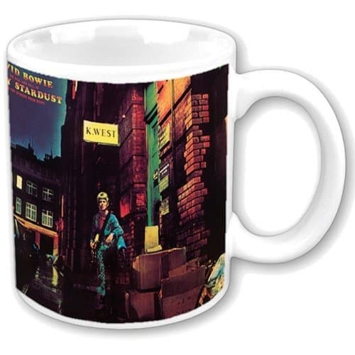 David Bowie Boxed Standard Mug: Ziggy Stardust