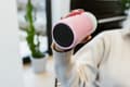 Miniatyrbild 6 av 6: Kambukka Olympus Pink Kiss - termisk mugg, 300 ml