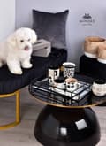 Miniatyrbild 4 av 4: WILD Mugg med lock 410 ml + infuser