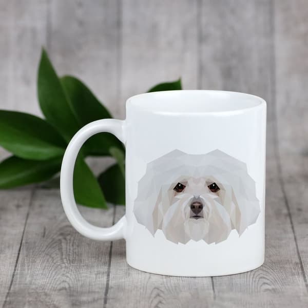 Bolognese, Bolognese - muki, jossa on valokuva ja merkintä geometrisesta Art-Dog koirasta