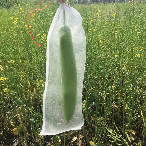 20 stk frugtbeskyttelsesnet med snøre – genanvendelige insekt- og fuglebeskyttelsesposer til havebrug og grøntsager