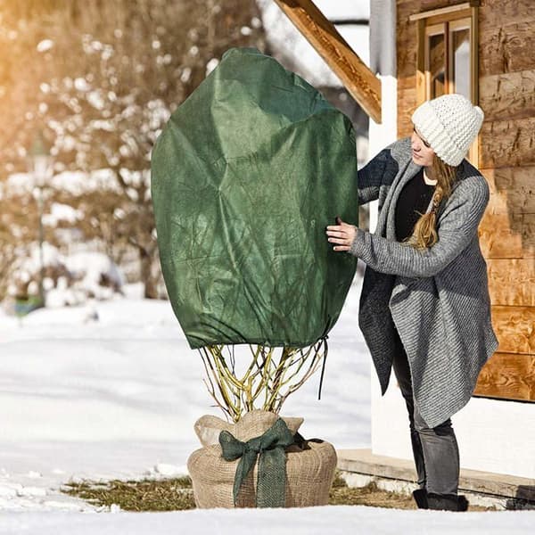 Windhager - 06726 - Fleece för vinterträdgård Fleecehatt av rosen, förpackning om 3, 0,75 x 1 m, 30 g, grön