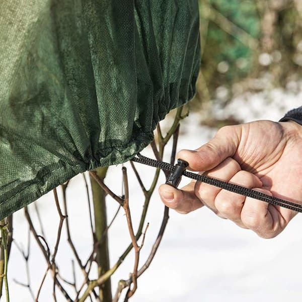 Windhager - 06726 - Fleece för vinterträdgård Fleecehatt av rosen, förpackning om 3, 0,75 x 1 m, 30 g, grön