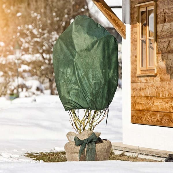 Windhager - 06726 - Fleece för vinterträdgård Fleecehatt av rosen, förpackning om 3, 0,75 x 1 m, 30 g, grön