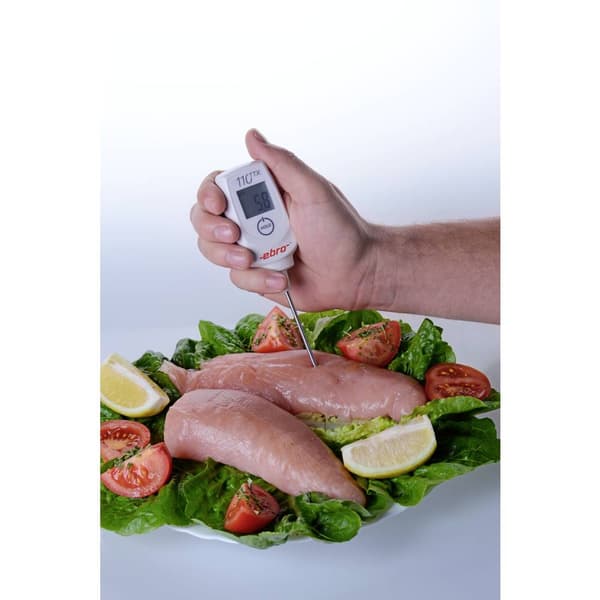 ebro TTX 110 Instickstermometer (HACCP) Temperaturmätningsområde (intervall) -50 till 350 °C Sensortyp T HACCP-konform