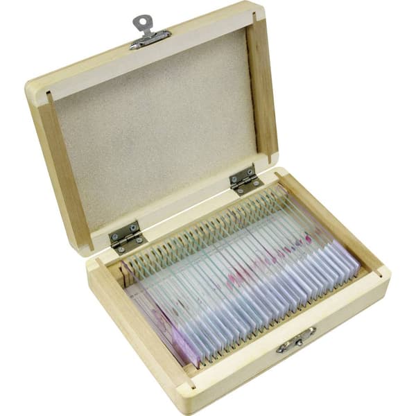 Bresser Optik 5986000 Experiment-set