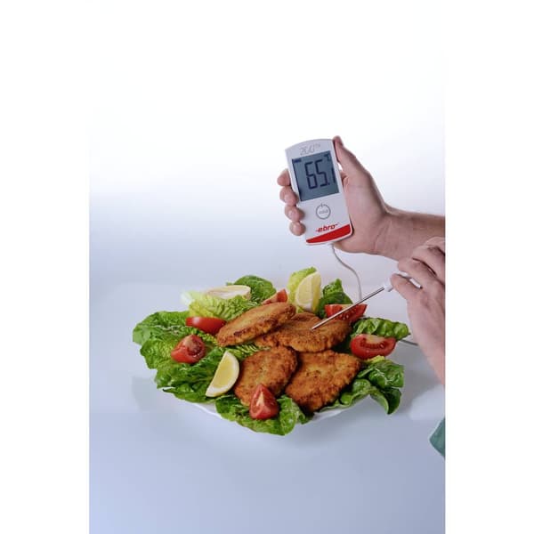ebro TTX 200 Instickstermometer (HACCP) Temperaturmätningsområde (intervall) -30 till +200 °C HACCP-konform, IP65