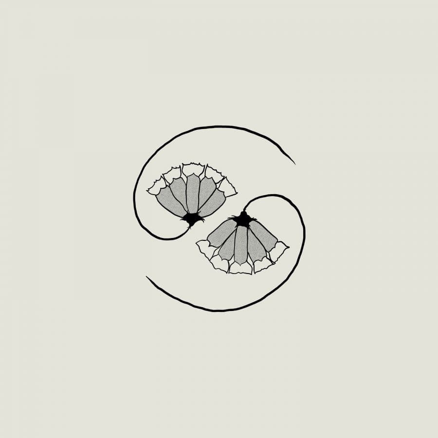 G_d's Pee At State's End! (LP+10'')