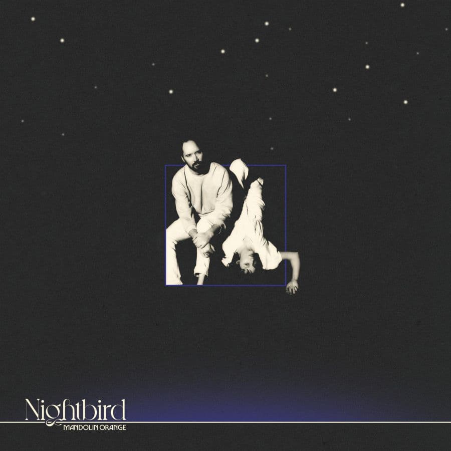 Nightbird
