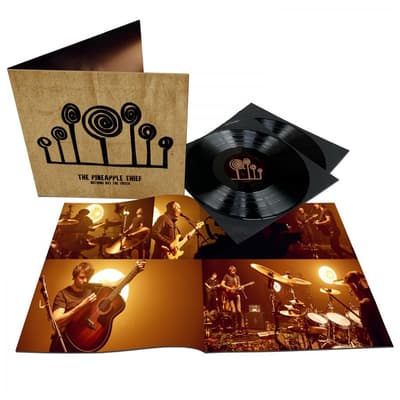 Nothing But The Truth (2LP)