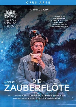 Die Zauberflöte (Dvd)
