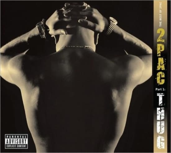 2Pac - Best Of 2Pac Pt 1 Thug (CD)