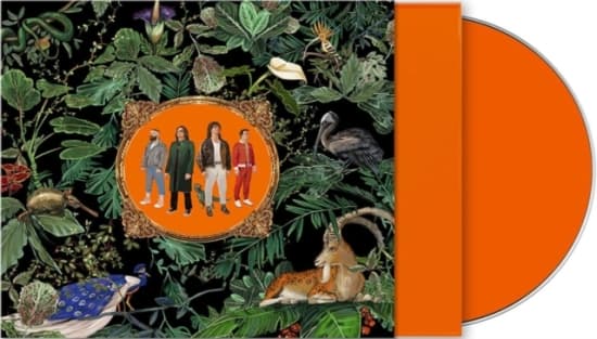 Don Broco - Amazing Things (CD)