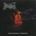 Pikkukuva 1 / 2: Dødsferd - Diseased Remnants Of A Dying World (CD)