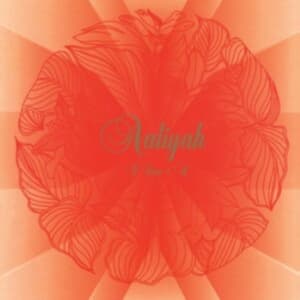 AALIYAH - I CARE 4 YOU (CD)