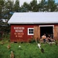 Miniatyrbild 1 av 2: Northern Indians - No Shelter In Sight (CD)