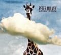 Miniatyrbillede 1 af 2: Mulvey Peter - Silver Ladder (CD)