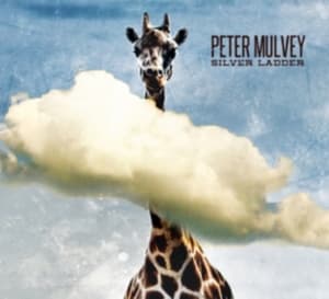 Mulvey Peter - Silver Ladder (CD)