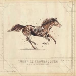 Turnpike troubadours - A Long Way From Your Heart (CD)