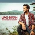 Miniatyrbild 1 av 2: Luke Bryan - What Makes You Country (CD)