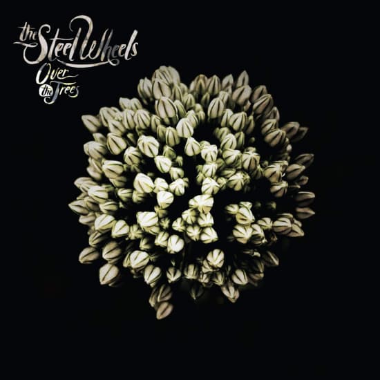 Steel Wheels - Over The Trees (CD)