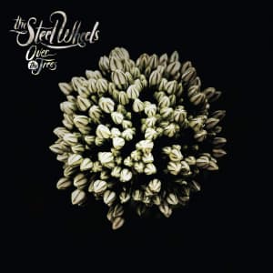 Steel Wheels - Over The Trees (CD)