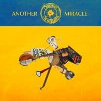 Steve 'N' Seagulls - Another Miracle (CD)