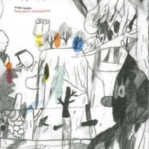 In The Country - Losing Stones, Collecting Bones (CD)