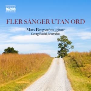 Mats Bergström / George Riedel - Fler sånger utan ord