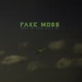 Miniatyrbild 1 av 2: Fake Moss - Under The Great Black Sky (CD)