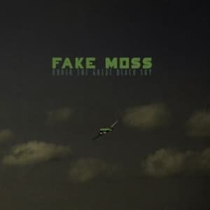 Fake Moss - Under The Great Black Sky (CD)