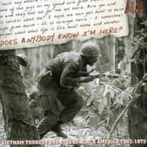 Various Artists - Does Anybody Know I'm Here? Vietnam (CD)