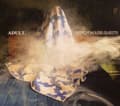 Miniatyrbild 1 av 2: Adult. - Detroit House Guests (CD)