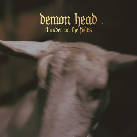Demon Head - Thunder On The Fields Cd (CD)